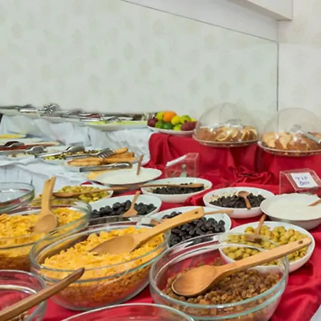 厄尔巴兹拉尔酒店 伊斯坦布尔